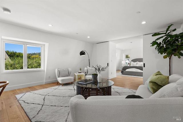 living room featuring light wood-type flooring