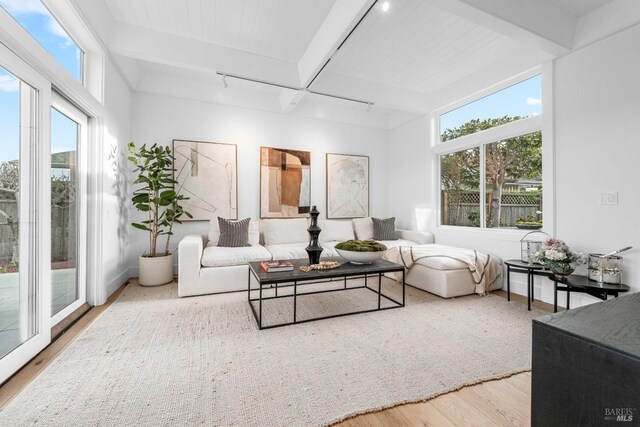 living room featuring beamed ceiling, wood finished floors, and rail lighting
