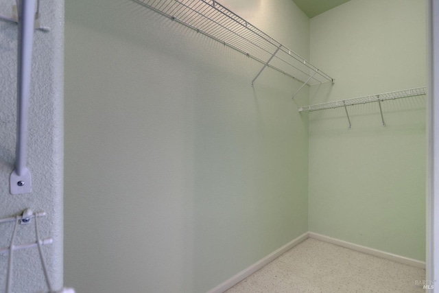 spacious closet featuring light colored carpet