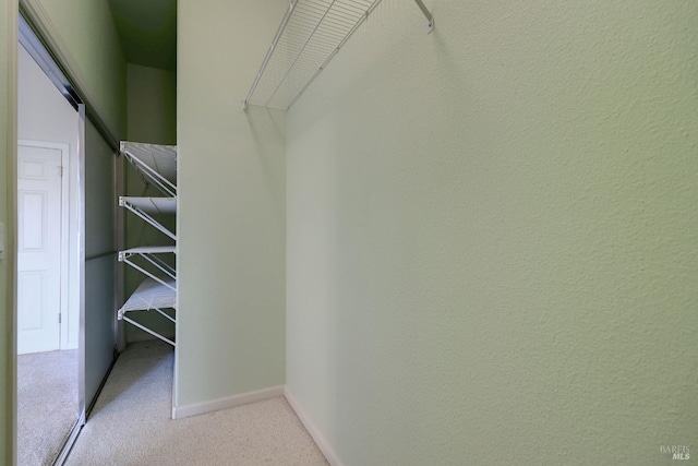 walk in closet featuring light colored carpet