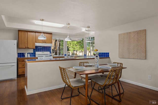 dining room featuring dark wood-style floors, baseboards, and a raised ceiling