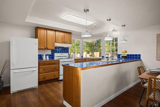 kitchen with a peninsula, white appliances, dark wood-style floors, a tray ceiling, and dark countertops