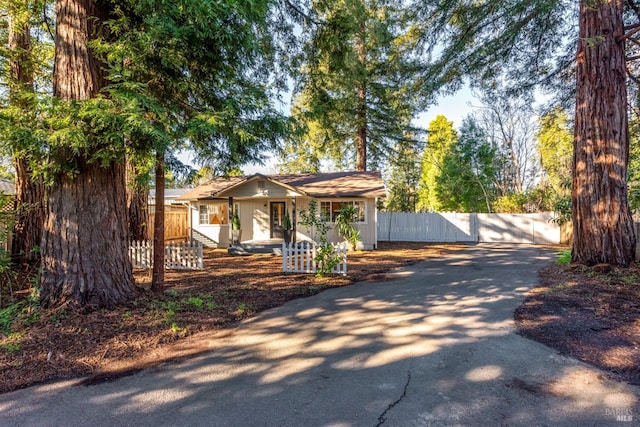 view of front of property featuring driveway and a fenced front yard