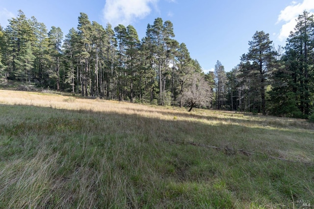 view of landscape featuring a wooded view