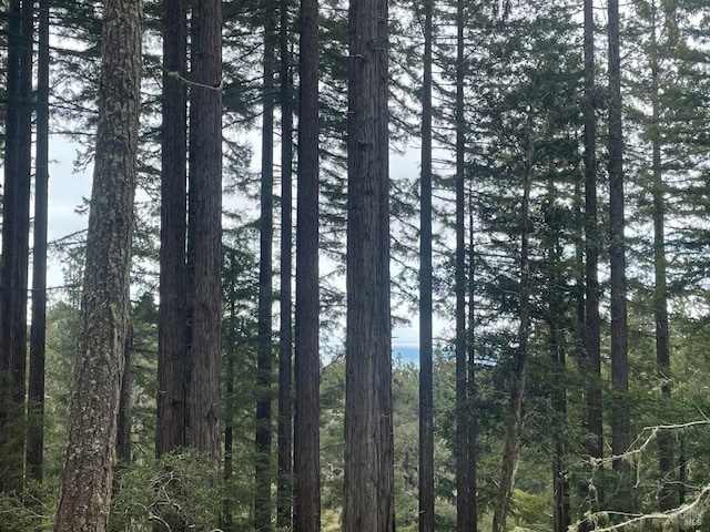 view of landscape featuring a view of trees