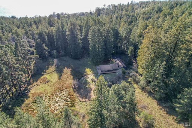 aerial view featuring a wooded view