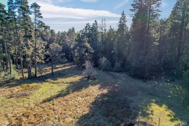 view of local wilderness with a view of trees