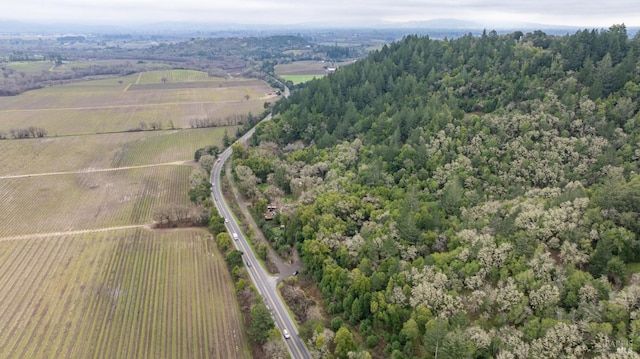 bird's eye view featuring a rural view