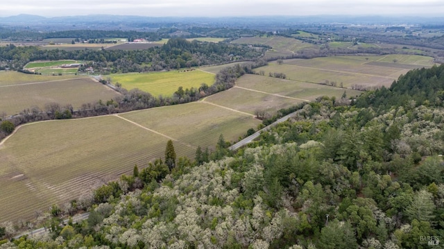 drone / aerial view featuring a rural view