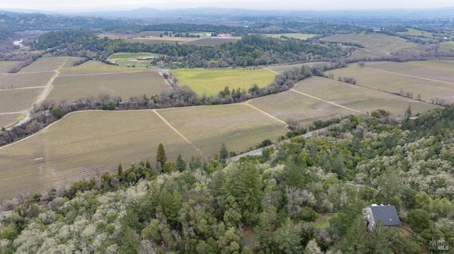 birds eye view of property with a rural view