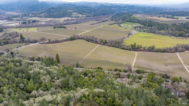 birds eye view of property featuring a mountain view and a rural view