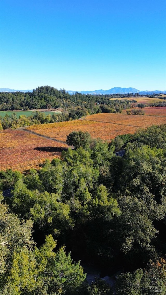 aerial view featuring a mountain view