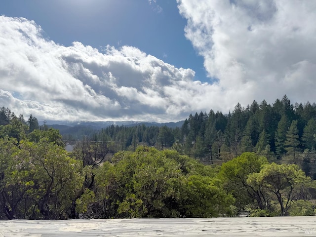 property view of mountains with a forest view