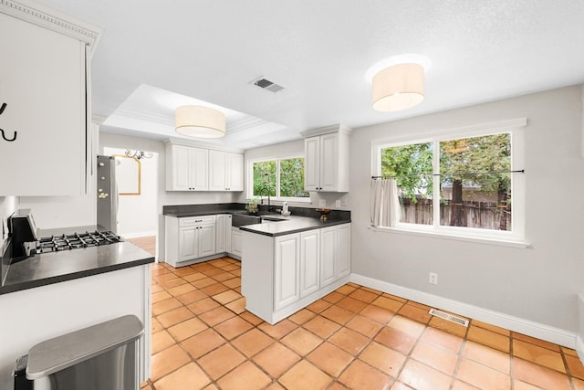 kitchen with dark countertops, visible vents, a raised ceiling, and gas stove