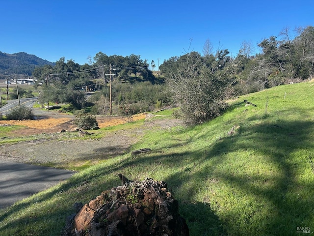 Listing photo 2 for 4498 Silverado Trl, Calistoga CA 94515