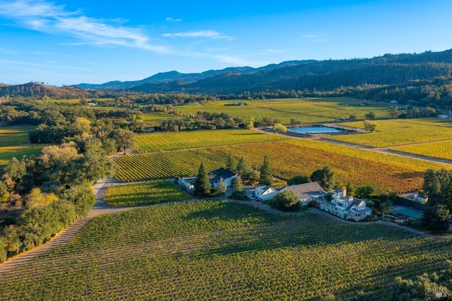 drone / aerial view with a rural view and a mountain view