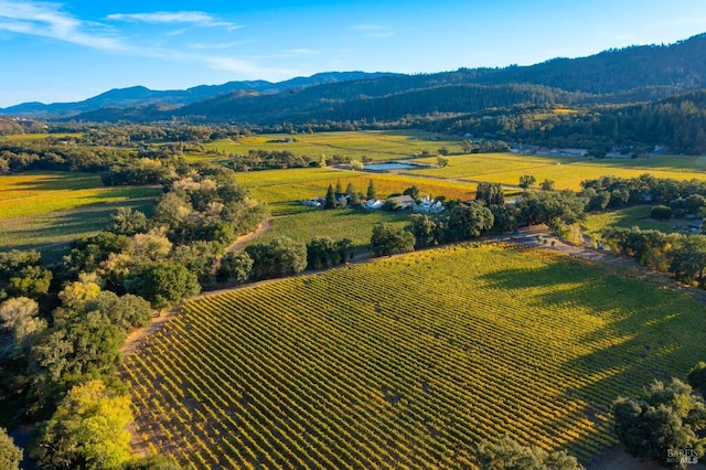 bird's eye view with a rural view and a mountain view