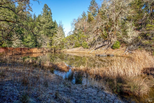 view of nature with a water view