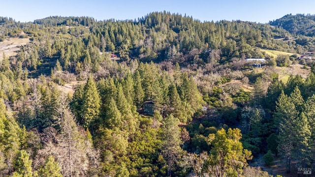 bird's eye view featuring a mountain view