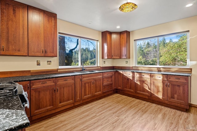 kitchen featuring sink, a wealth of natural light, and light hardwood / wood-style floors