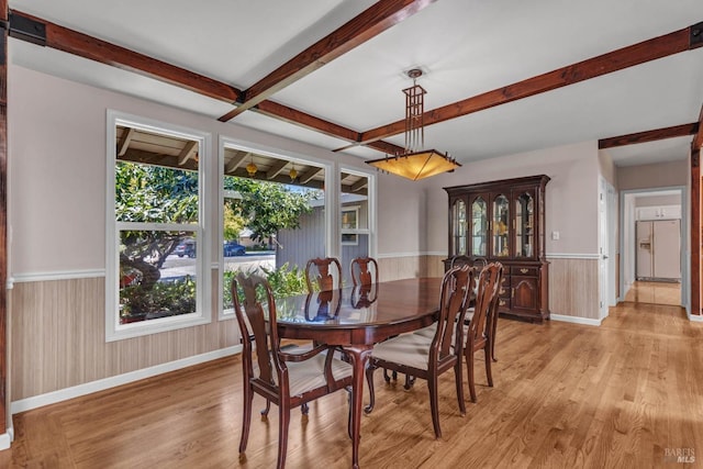 dining room with a wainscoted wall, light wood-style flooring, wooden walls, and beamed ceiling