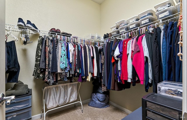 spacious closet featuring carpet flooring