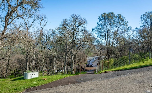 1061 Steele Canyon Rd, Napa, CA 94558 - view of road