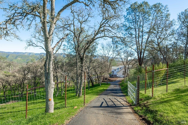 1061 Steele Canyon Rd, Napa, CA 94558 - view of street with driveway and a gated entry
