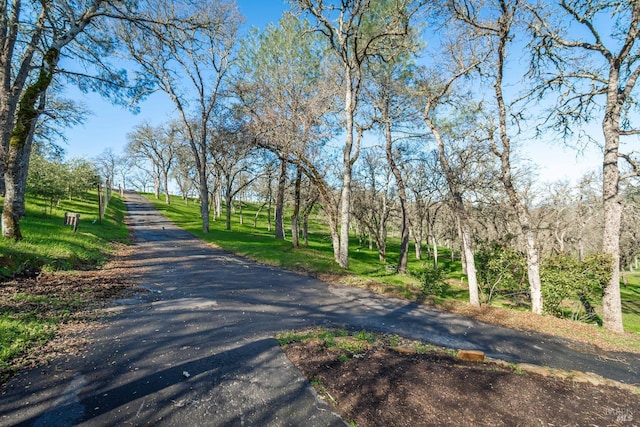 1061 Steele Canyon Rd, Napa, CA 94558 - view of road