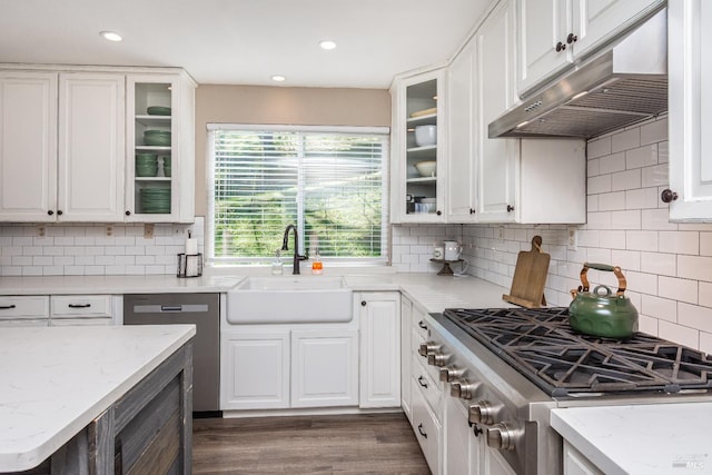 1061 Steele Canyon Rd, Napa, CA 94558 - kitchen featuring white cabinets, light stone counters, stainless steel appliances, under cabinet range hood, and a sink