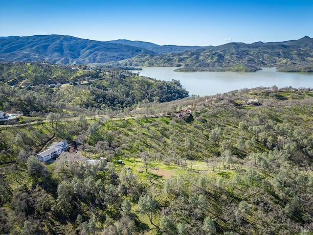 1061 Steele Canyon Rd, Napa, CA 94558 - aerial view featuring a water and mountain view and a view of trees