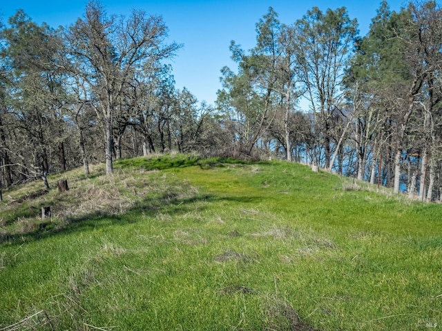 1061 Steele Canyon Rd, Napa, CA 94558 - view of yard