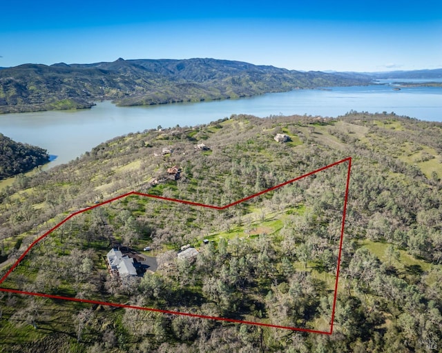 1061 Steele Canyon Rd, Napa, CA 94558 - birds eye view of property featuring a forest view and a water and mountain view