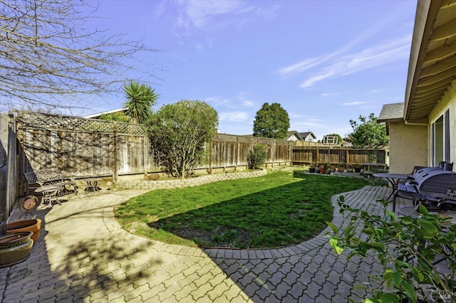 view of yard featuring a patio area