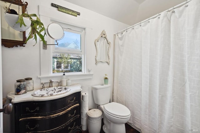 bathroom with toilet and sink