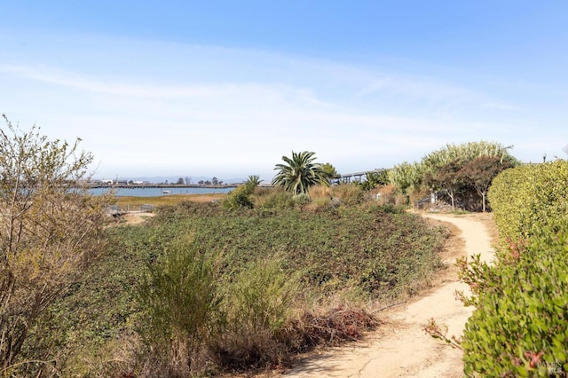 view of local wilderness with a water view