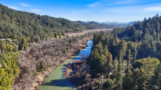 drone / aerial view with a water and mountain view