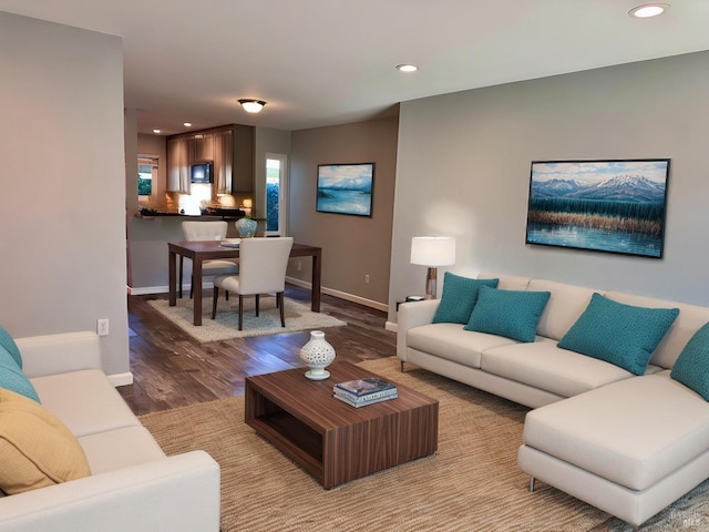 living room featuring light hardwood / wood-style floors