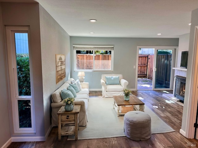 living room with hardwood / wood-style flooring