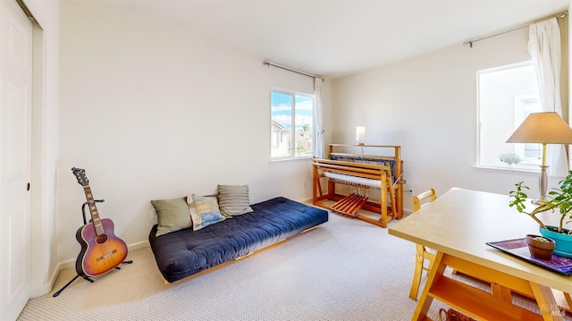 living area with carpet floors