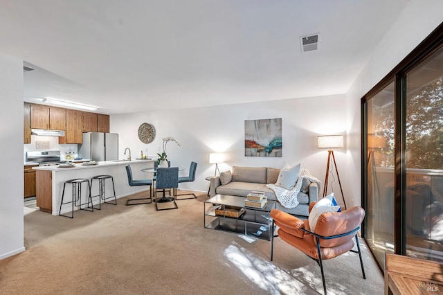 carpeted living room with sink