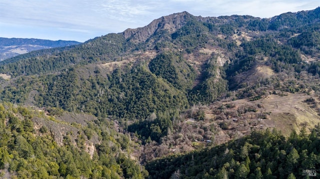 property view of mountains