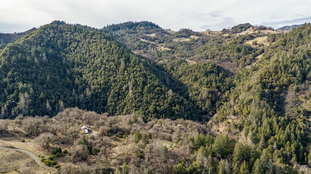 view of mountain feature