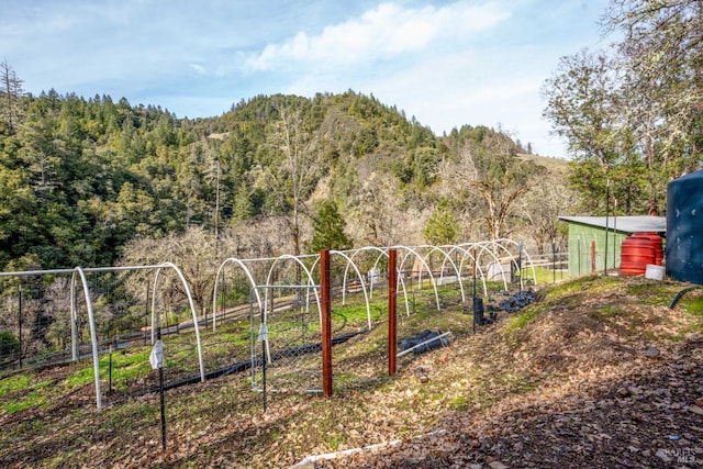 view of yard featuring a rural view