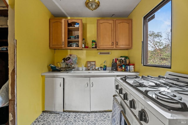 kitchen with sink and gas stove