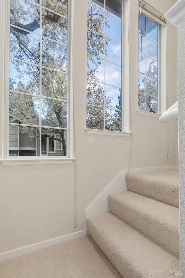 stairway featuring carpet