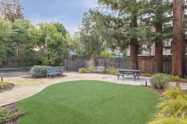 view of yard with a patio