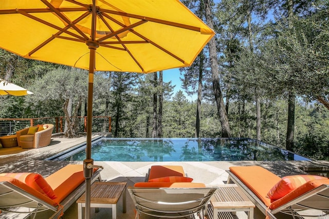 view of pool featuring a patio area