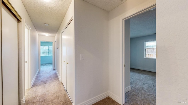 hall with plenty of natural light, light colored carpet, and a textured ceiling