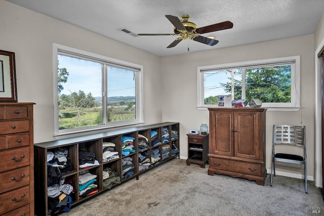 interior space with ceiling fan, light colored carpet, and a textured ceiling